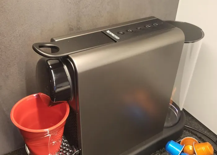 アパート House Mojo ツェルマット